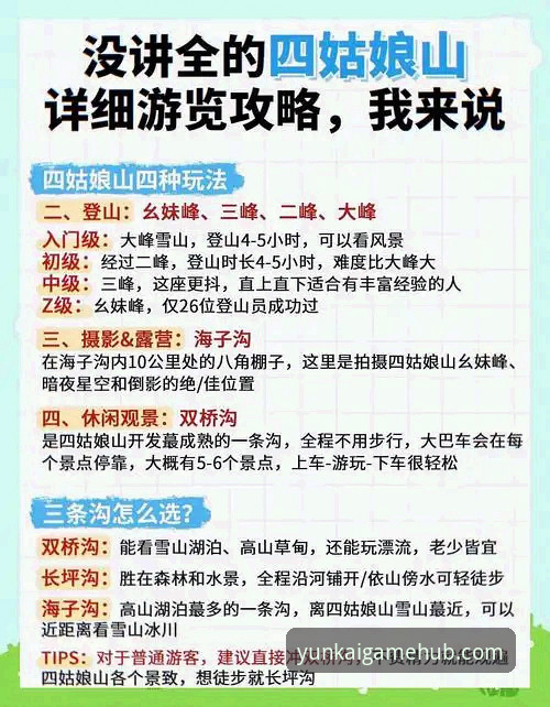 云开全站体育使用心得：资深用户教你避开注册陷阱，快速上手v2.8.1版本